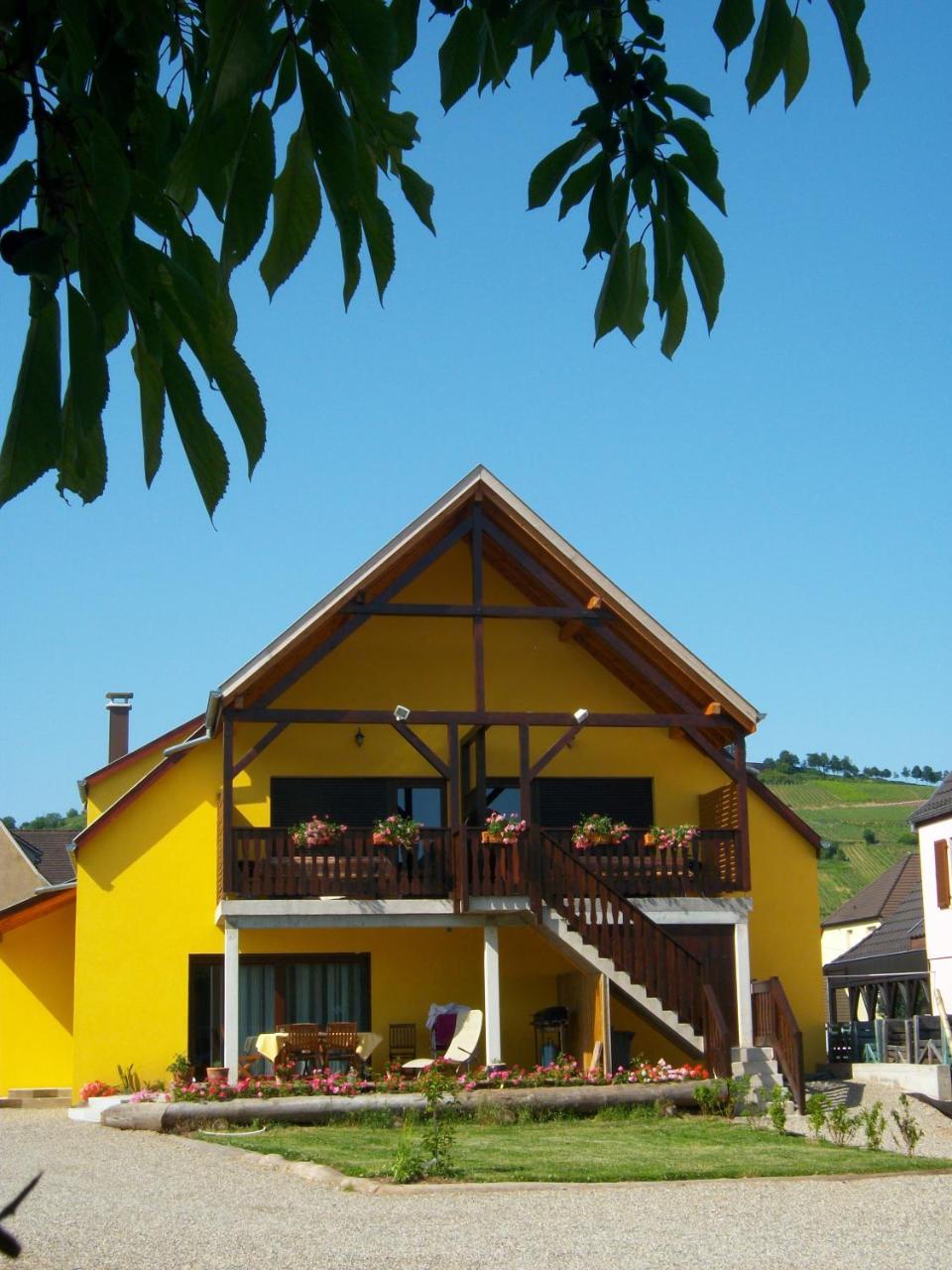 Alsace Appartements Meyer-Krumb Sigolsheim Exterior foto