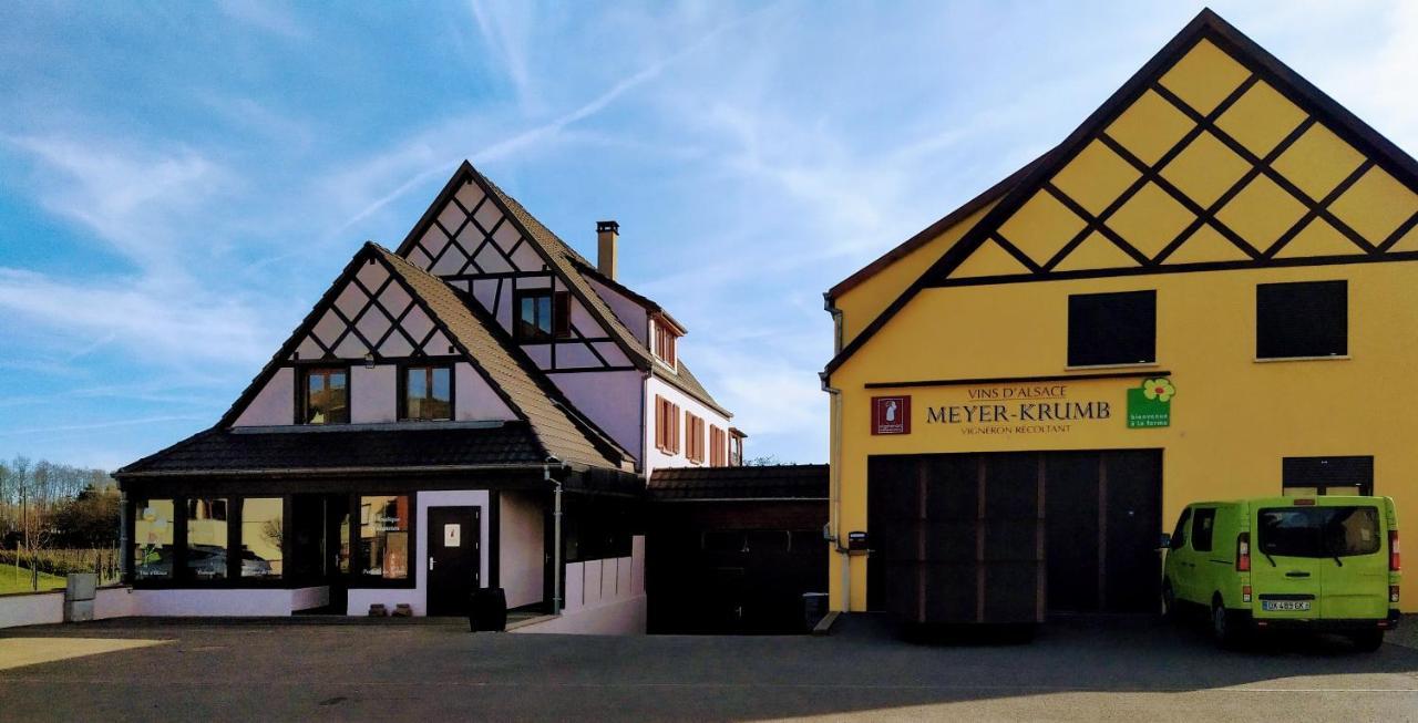 Alsace Appartements Meyer-Krumb Sigolsheim Exterior foto